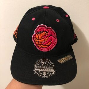 Mitchell & Ness Dynasty Toronto Raptors Hat